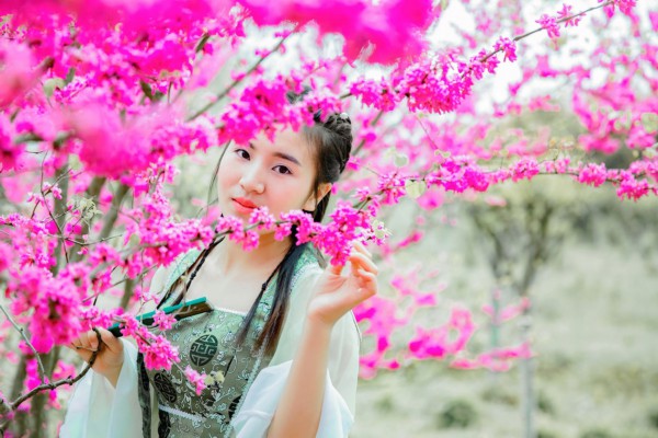 品鉴sn200年杭州茶,一壶清茶解千愁 品鉴sn200年杭州茶,一壶清茶解千愁